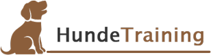 Hundetraining